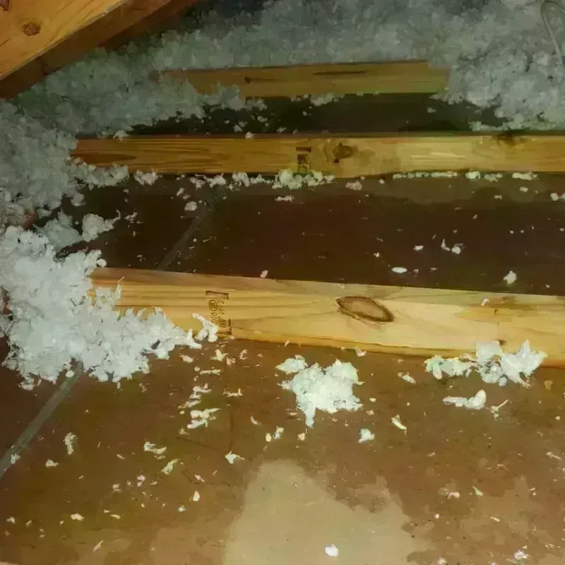 Attic Water Damage in Wells County, IN